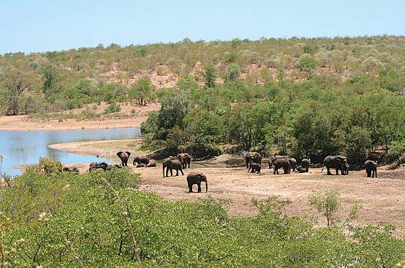 Kruger National Park Location And Geography