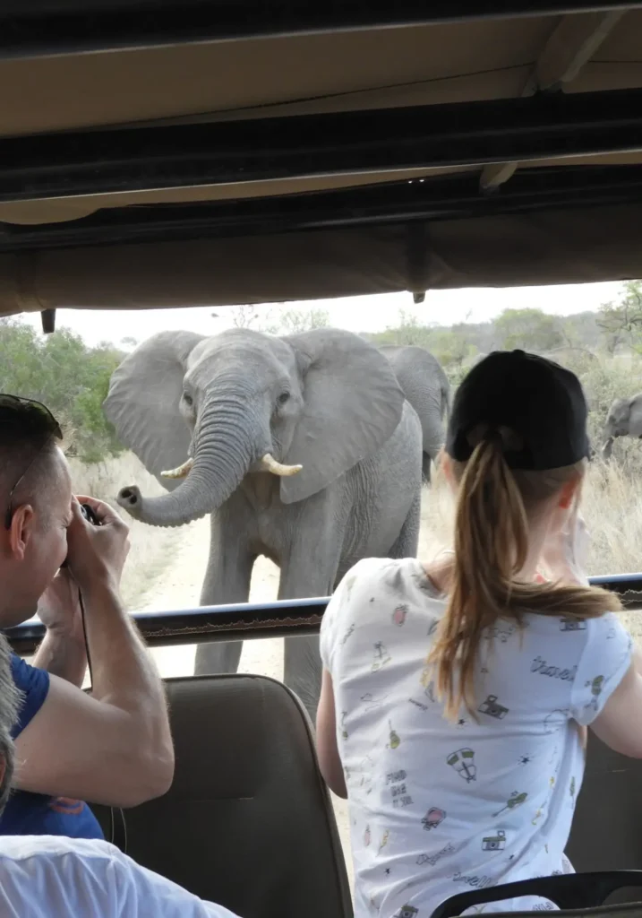3 Day Kruger Park /Manyeleti tour African village Bongan lodge accommodation from